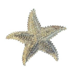 Gold-Tone Starfish Brooch Pin‎ With Textured Details Beach ocean seashore   2"